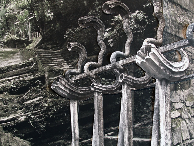 http://uat.mirunadragan.com/files/gimgs/th-6_IMG_2470_Xilitla_W.jpg
