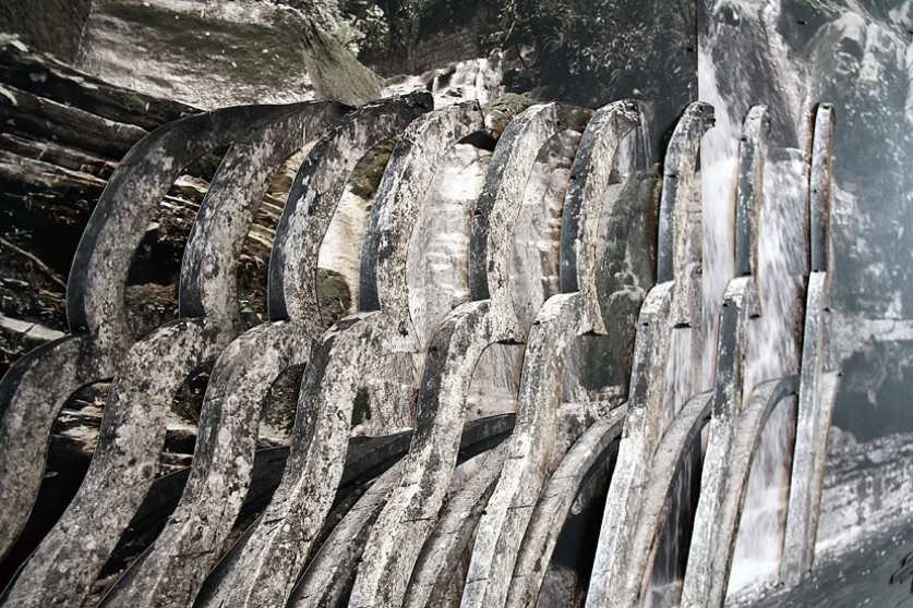 http://uat.mirunadragan.com/files/gimgs/th-6_IMG_2473_Xilitla_W.jpg