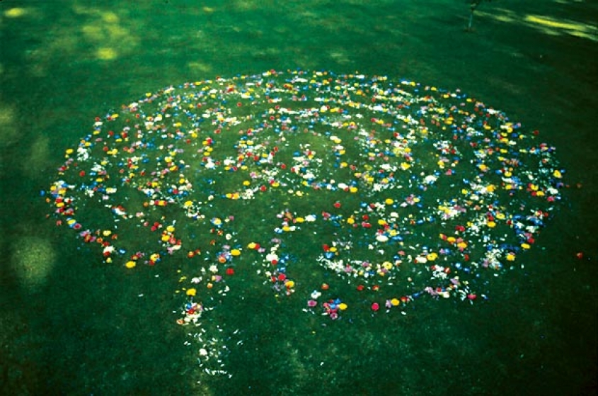 http://uat.mirunadragan.com/files/gimgs/th-16_void2_1photo2.jpg