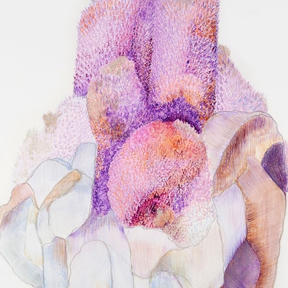 http://uat.mirunadragan.com/files/gimgs/th-23_Erratics-Draw3-detail-web_v2.jpg