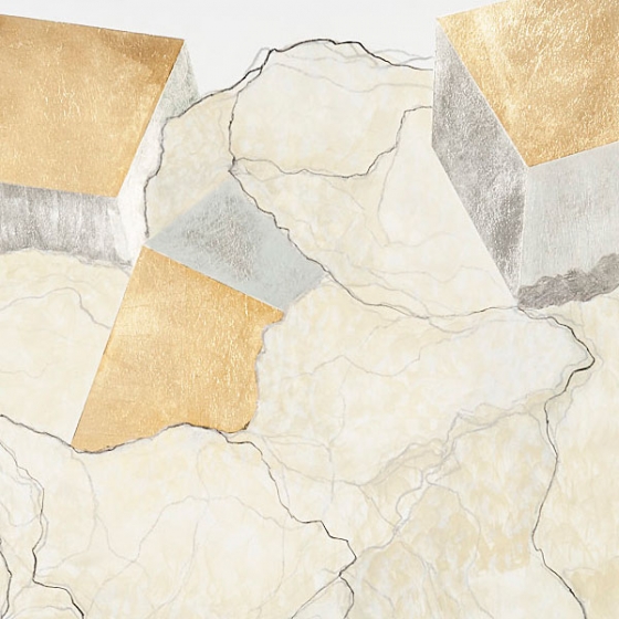 http://uat.mirunadragan.com/files/gimgs/th-23_Erratics-Draw1-detail-web_v3.jpg