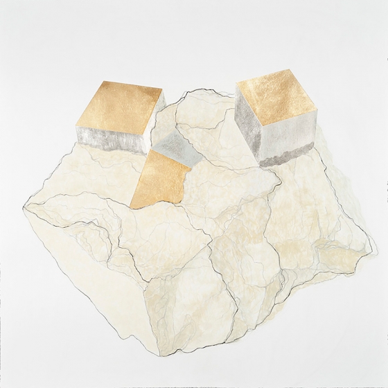 http://uat.mirunadragan.com/files/gimgs/th-23_Erratics-Draw1-web_v3.jpg